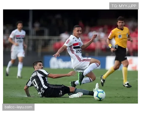 帕尔马防线坚如磐石，连续零封彰显状态回暖