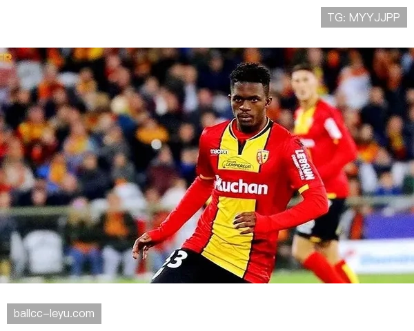 南特攻防均衡彰显团队实力，赛季表现引人关注