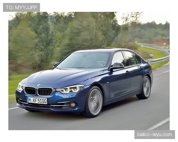 维特斯新赛季启航，结构优化助力竞争力全面提升