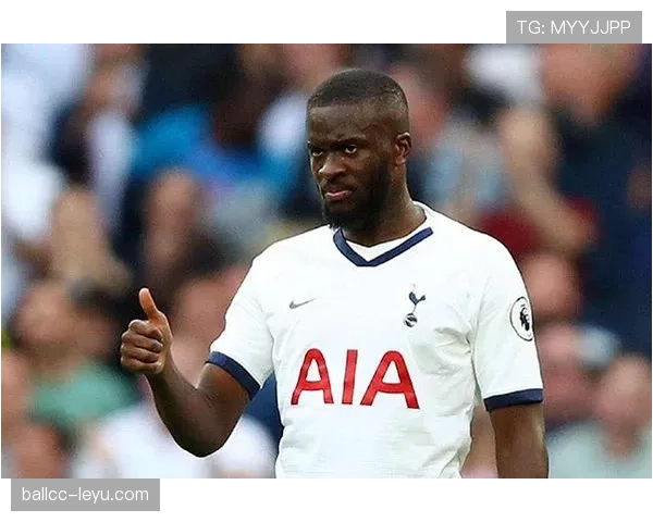 恩东贝莱潜力解析 恩东贝莱潜力解析